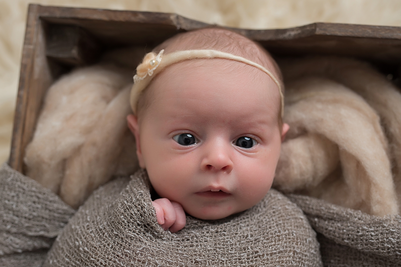 Stettler newborn photographer - Isabelle