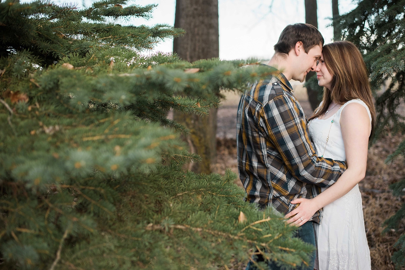 Pine tree engagement session in a park