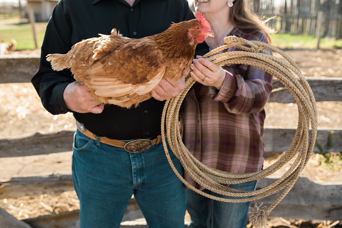 Engagement photos with chickens on a farm