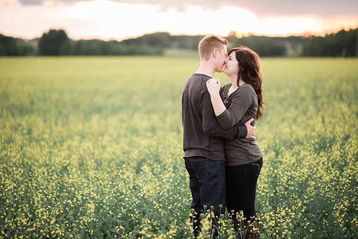 engagement photos in a canola field-Pine Lake engagement-Red Deer photographers-Raelene Schulmeister Photography