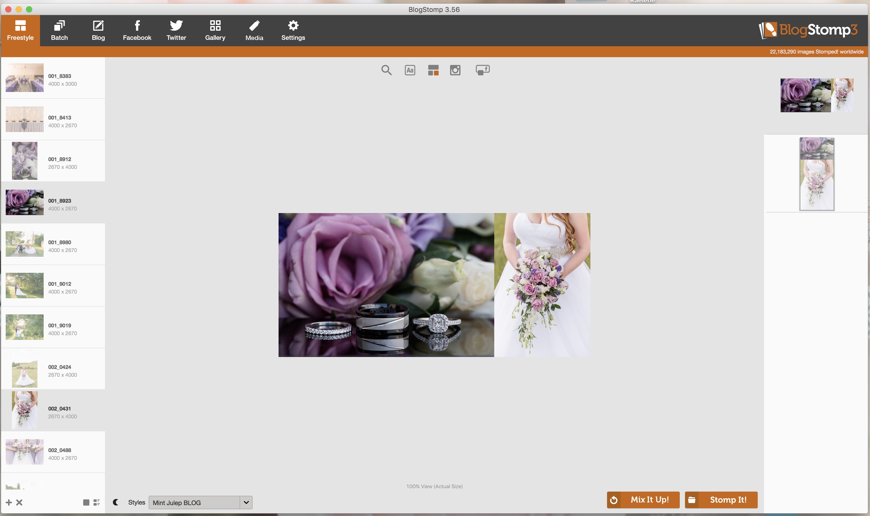 BlogStomp3- How to use BlogStomp in your photography business